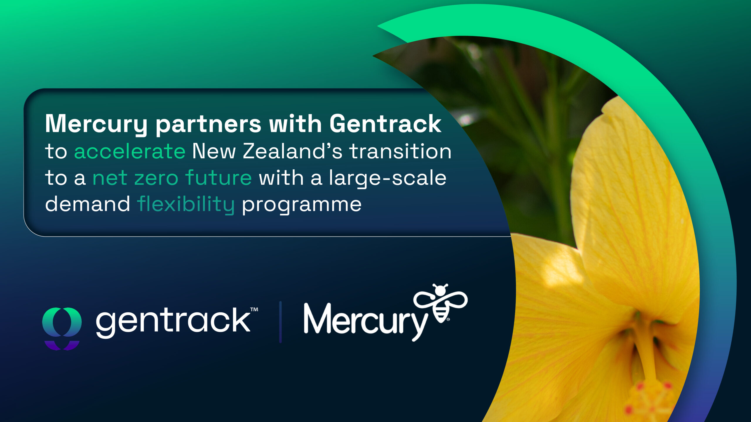 Mercury partners with Gentrack