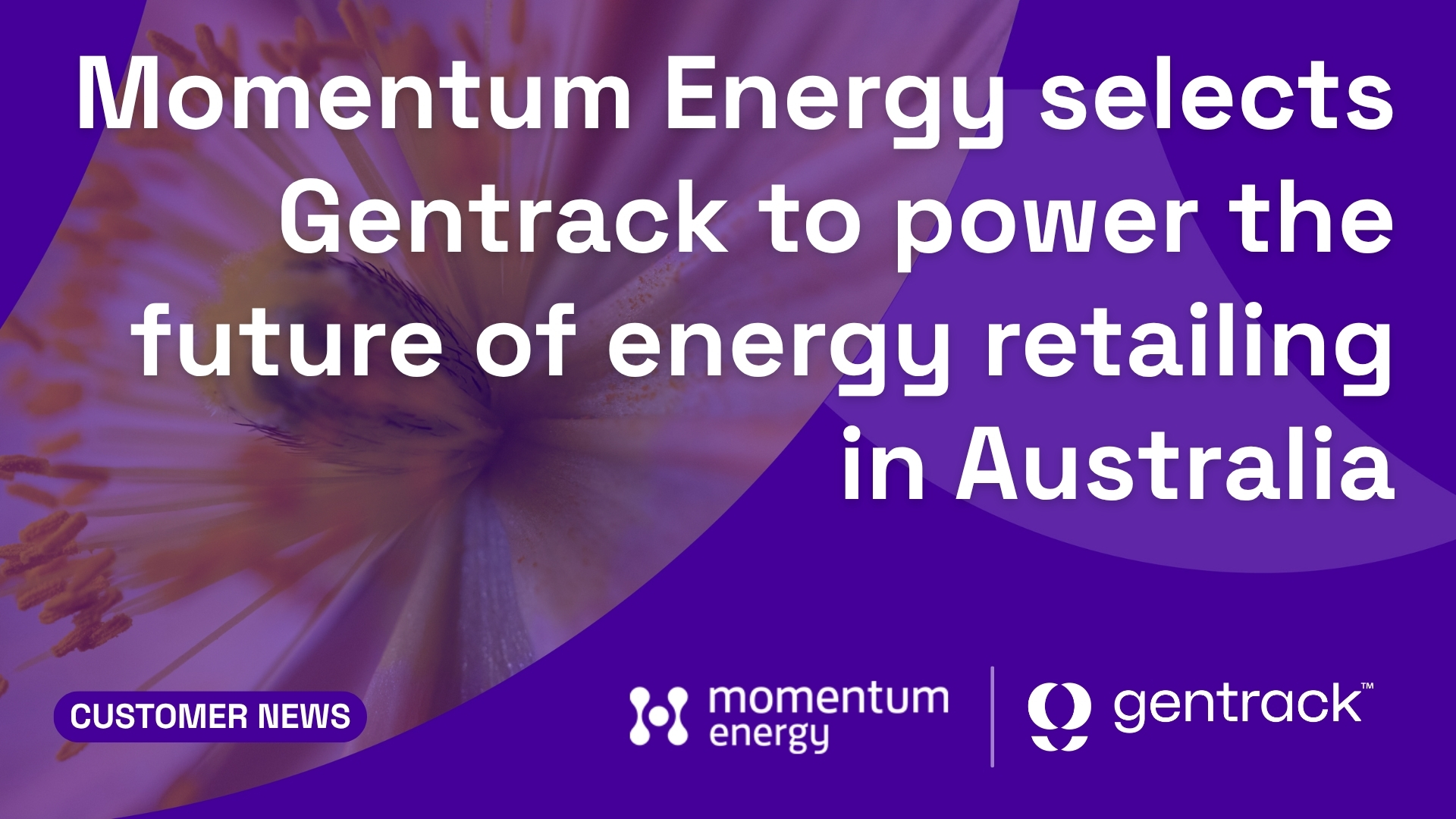 Momentum Energy selects Gentrack to power the future of energy retailing in Australia.