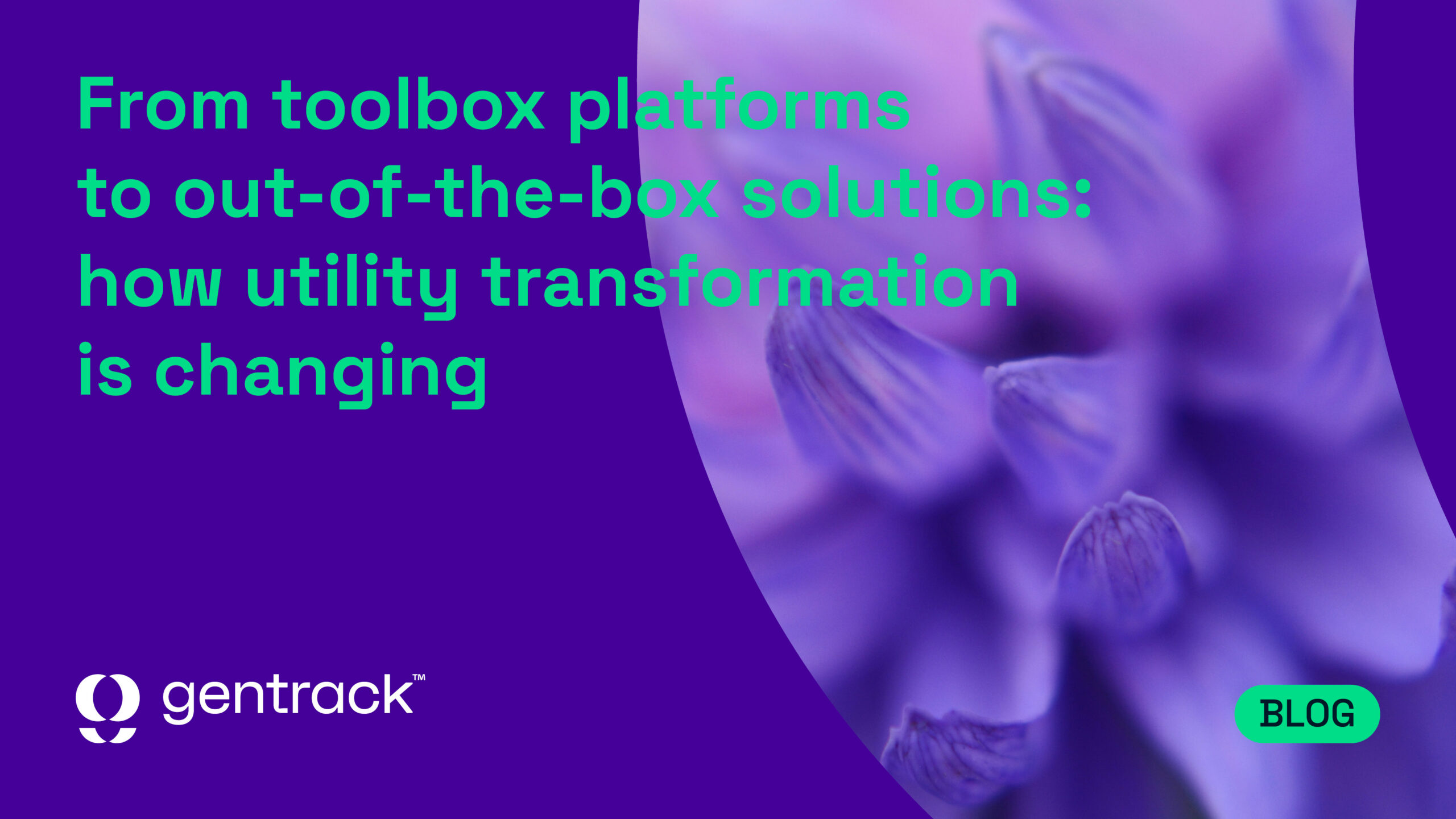 toolbox platforms to out of the box solutions